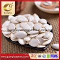 Hot Sale 2021 Snow White Pumpkin Seeds